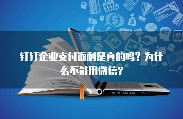 钉钉企业支付返利是真的吗？为什么不能用微信？