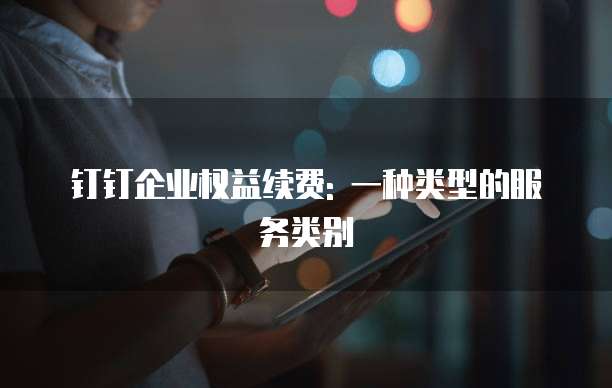 钉钉企业权益续费: 一种类型的服务类别