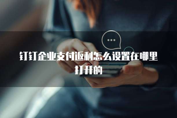 钉钉企业支付返利怎么设置在哪里打开的