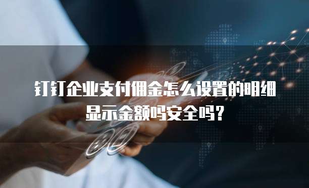 钉钉企业支付佣金怎么设置的明细显示金额吗安全吗?