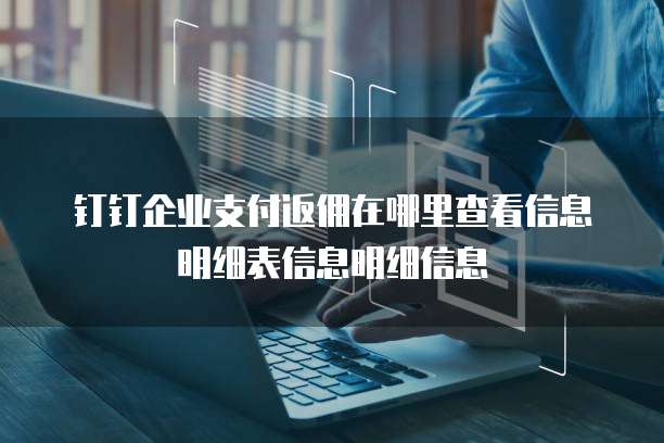 钉钉企业支付返佣在哪里查看信息明细表信息明细信息