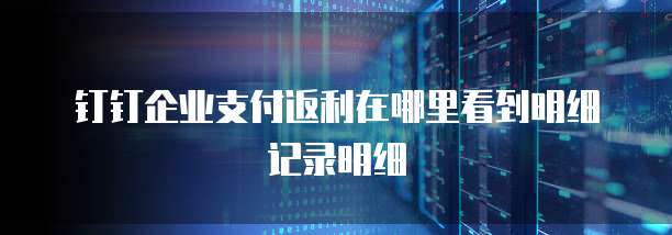 钉钉企业支付返利在哪里看到明细记录明细