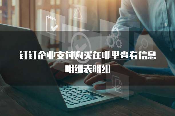 钉钉企业支付购买在哪里查看信息明细表明细