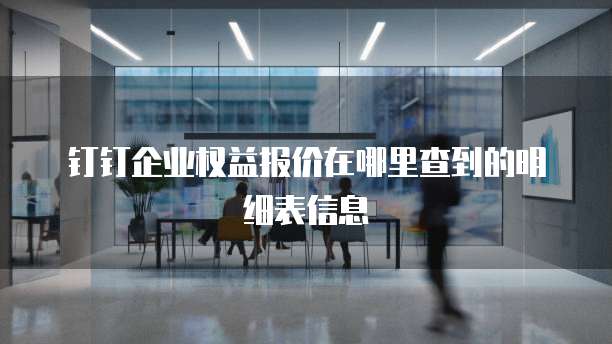 钉钉企业权益报价在哪里查到的明细表信息
