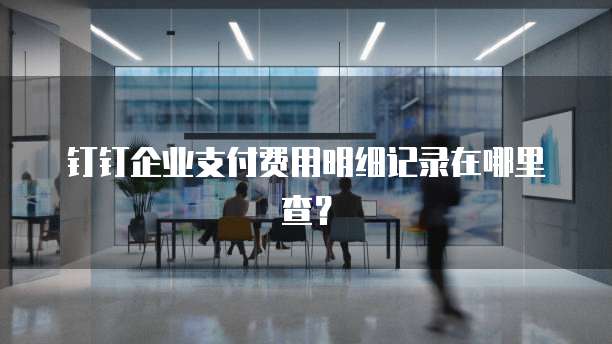 钉钉企业支付费用明细记录在哪里查？