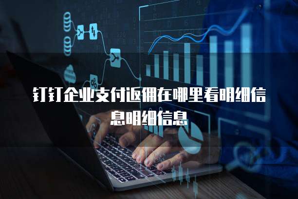 钉钉企业支付返佣在哪里看明细信息明细信息