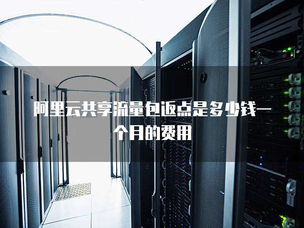阿里云共享流量包返点是多少钱一个月的费用