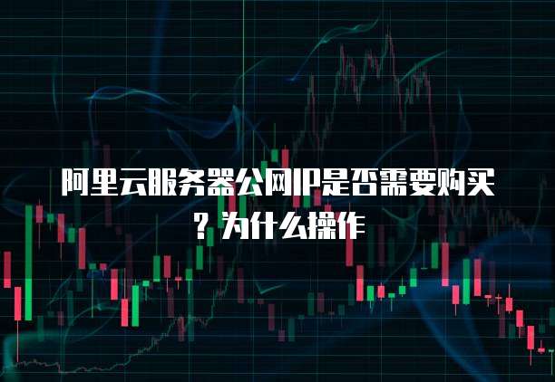 阿里云服务器公网IP是否需要购买?为什么操作