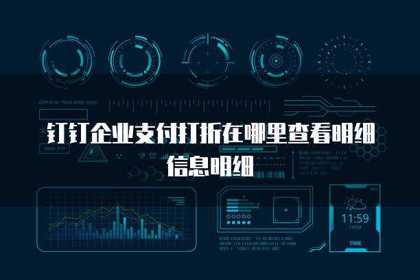 钉钉企业支付打折在哪里查看明细信息明细