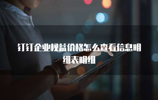 钉钉企业权益价格怎么查看信息明细表明细