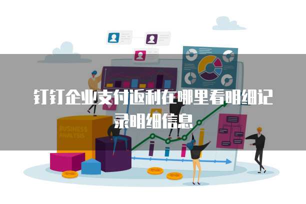钉钉企业支付返利在哪里看明细记录明细信息