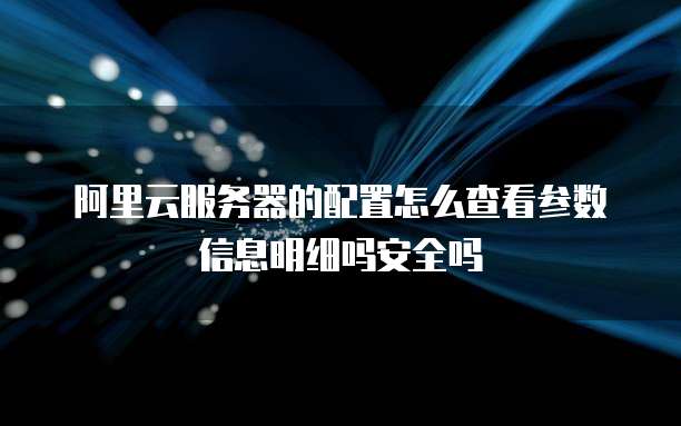 阿里云服务器的配置怎么查看参数信息明细吗安全吗