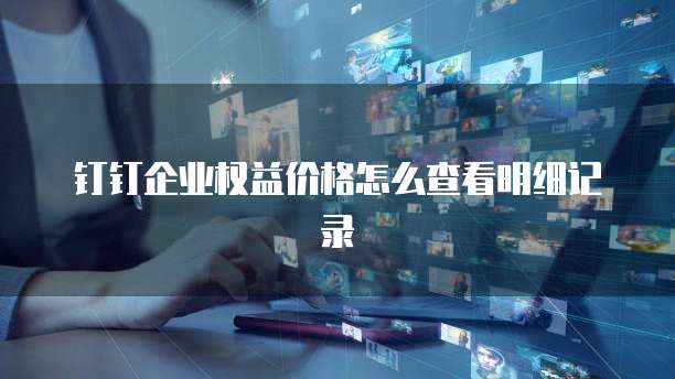 钉钉企业权益价格怎么查看明细记录