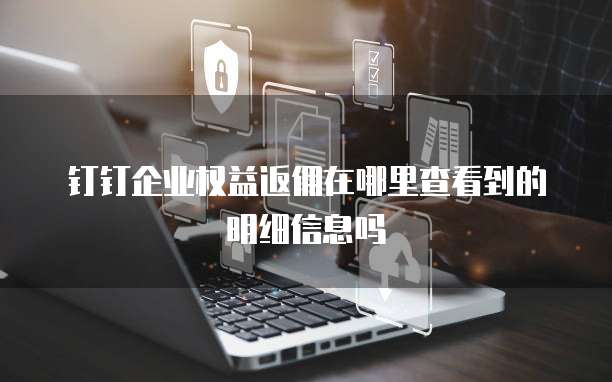 钉钉企业权益返佣在哪里查看到的明细信息吗