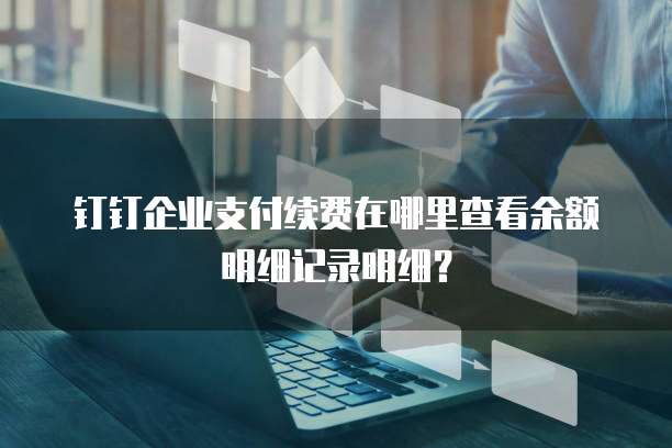 钉钉企业支付续费在哪里查看余额明细记录明细？
