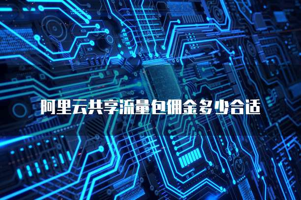 阿里云共享流量包佣金多少合适