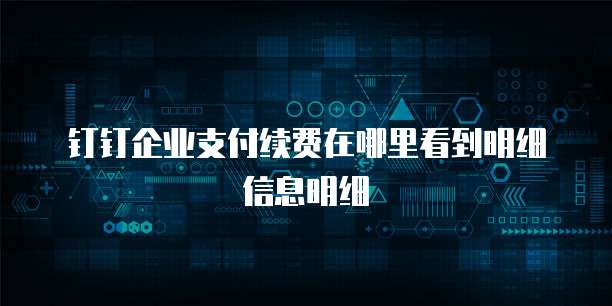 钉钉企业支付续费在哪里看到明细信息明细