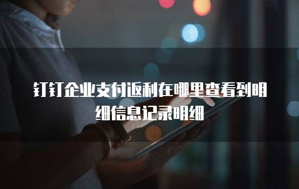 钉钉企业支付返利在哪里查看到明细信息记录明细