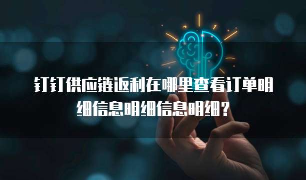 钉钉供应链返利在哪里查看订单明细信息明细信息明细?