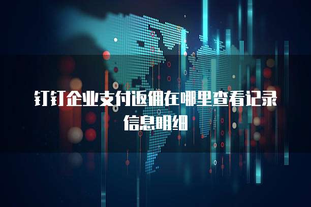 钉钉企业支付返佣在哪里查看记录信息明细