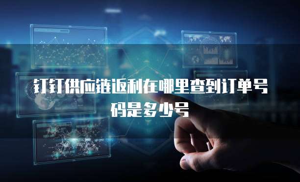 钉钉供应链返利在哪里查到订单号码是多少号