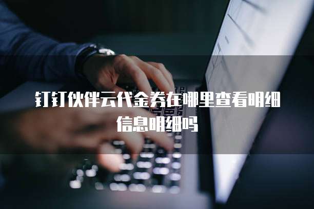钉钉伙伴云代金券在哪里查看明细信息明细吗