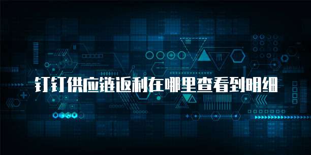 钉钉供应链返利在哪里查看到明细