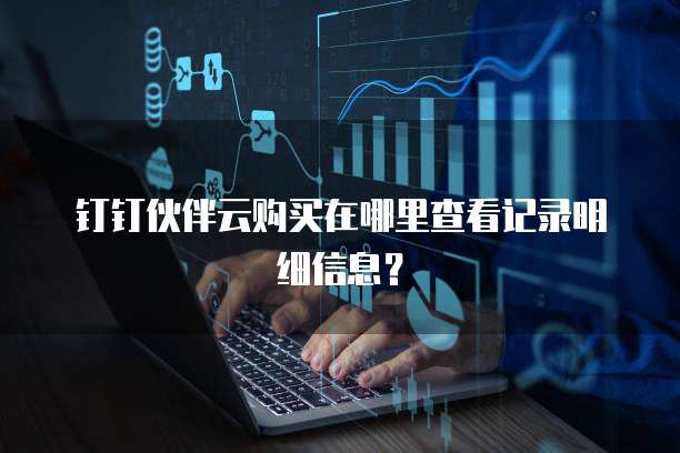 钉钉伙伴云购买在哪里查看记录明细信息?