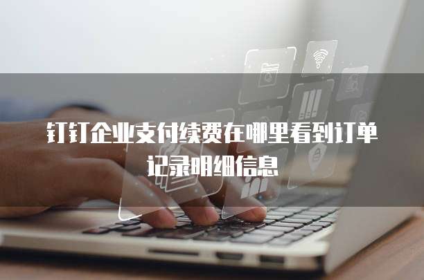 钉钉企业支付续费在哪里看到订单记录明细信息