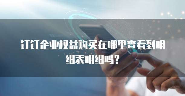 钉钉企业权益购买在哪里查看到明细表明细吗?