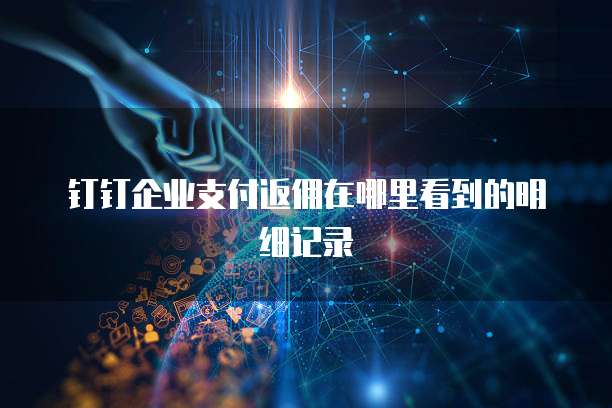 钉钉企业支付返佣在哪里看到的明细记录