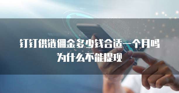 钉钉供链佣金多少钱合适一个月吗为什么不能提现