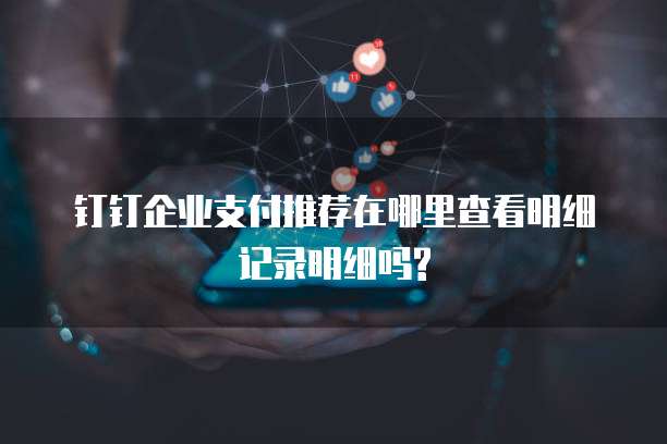钉钉企业支付推荐在哪里查看明细记录明细吗?