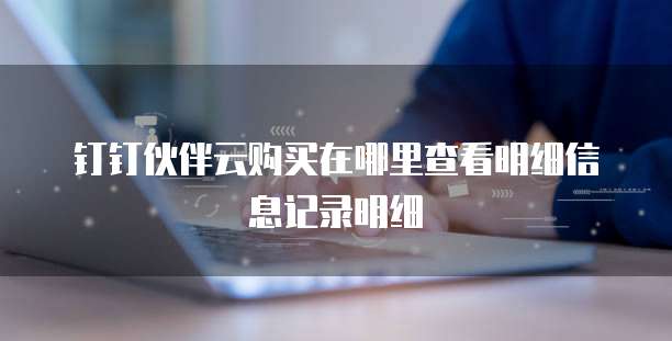 钉钉伙伴云购买在哪里查看明细信息记录明细
