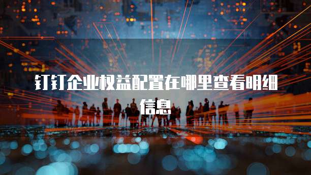 钉钉企业权益配置在哪里查看明细信息
