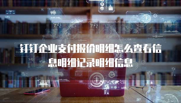 钉钉企业支付报价明细怎么查看信息明细记录明细信息