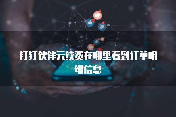 钉钉伙伴云续费在哪里看到订单明细信息