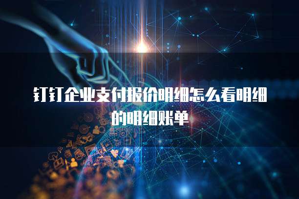 钉钉企业支付报价明细怎么看明细的明细账单