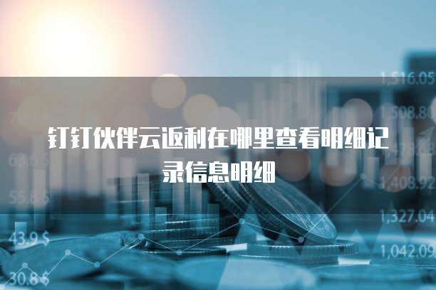 钉钉伙伴云返利在哪里查看明细记录信息明细