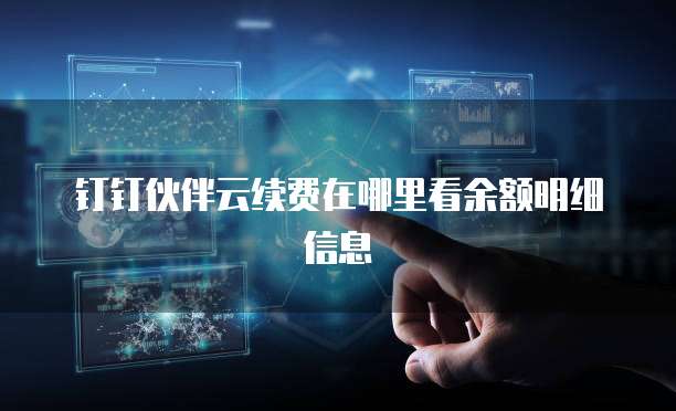 钉钉伙伴云续费在哪里看余额明细信息