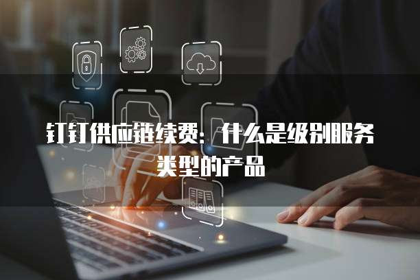 钉钉供应链续费:什么是级别服务类型的产品