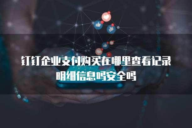 钉钉企业支付购买在哪里查看记录明细信息吗安全吗
