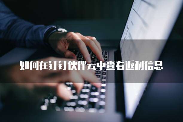如何在钉钉伙伴云中查看返利信息