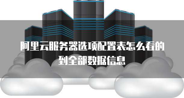 阿里云服务器选项配置表怎么看的到全部数据信息