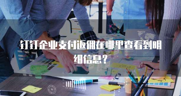 钉钉企业支付返佣在哪里查看到明细信息?