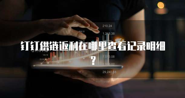 钉钉供链返利在哪里查看记录明细?