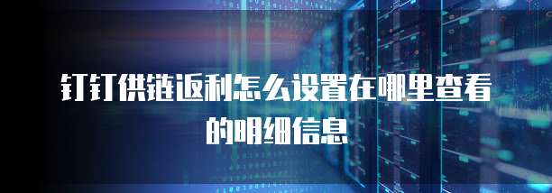 钉钉供链返利怎么设置在哪里查看的明细信息