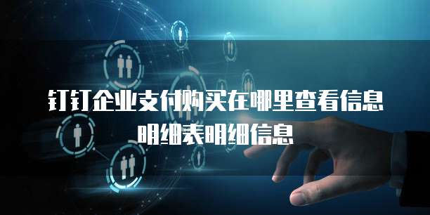 钉钉企业支付购买在哪里查看信息明细表明细信息