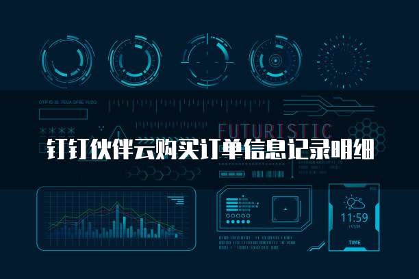 钉钉伙伴云购买订单信息记录明细