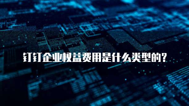 钉钉企业权益费用是什么类型的?